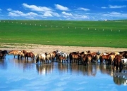 开云官网-包含内蒙古草原豪胜对手，晋级16强的词条