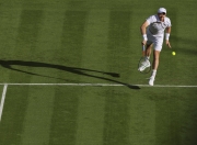 开云官网-包含温网力克美网，穆雷高光表现的词条