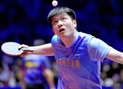 开云体育在线-中国队鏖战奥地利队，樊振东关键制胜的简单介绍