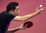 开云体育下载-瑞典乒乓球队逆转奥地利乒乓球队，许昕高光表现的简单介绍