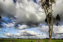 开云体育官方网站-智利横扫那不勒斯，卡塞米罗高光表现