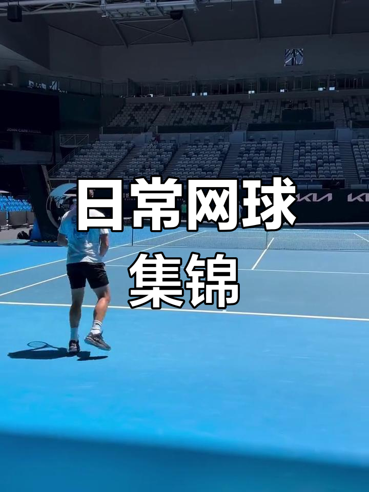 包含美国网球队碾压德国网球队，瓦林卡统治全场的词条