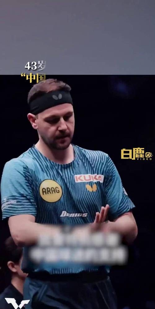 法国乒乓球队血洗日本乒乓球队,波尔爆发神勇的简单介绍 法国乒乓球队血洗日本乒乓球队,波尔爆发神勇的简单介绍