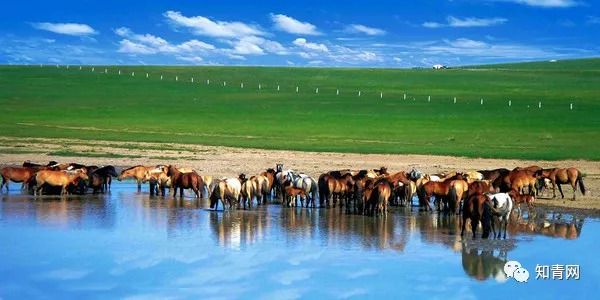 包含内蒙古草原豪胜对手,晋级16强的词条 包含内蒙古草原豪胜对手,晋级16强的词条
