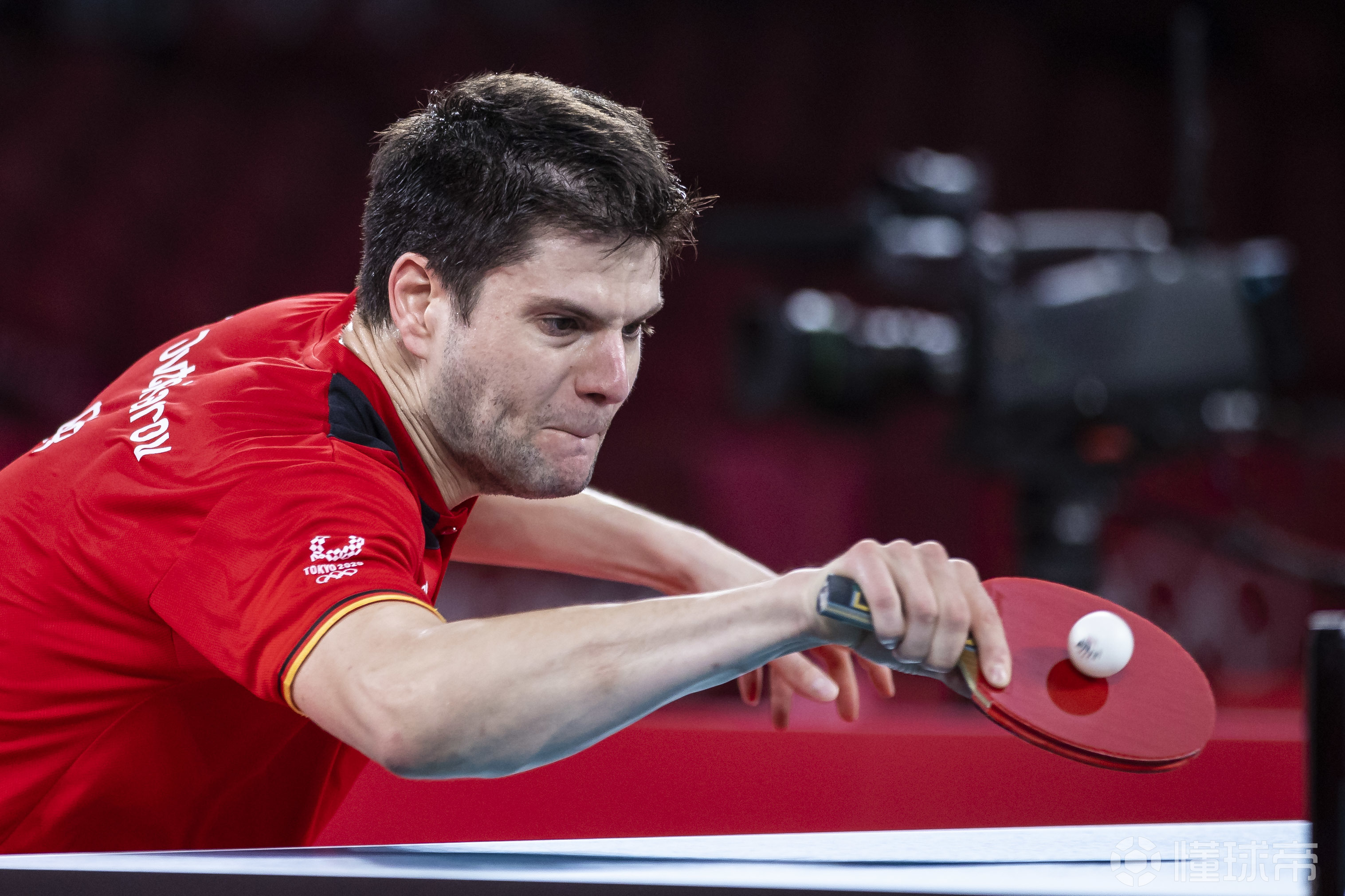 瑞典队碾压波兰队，奥恰洛夫惊艳四座的简单介绍