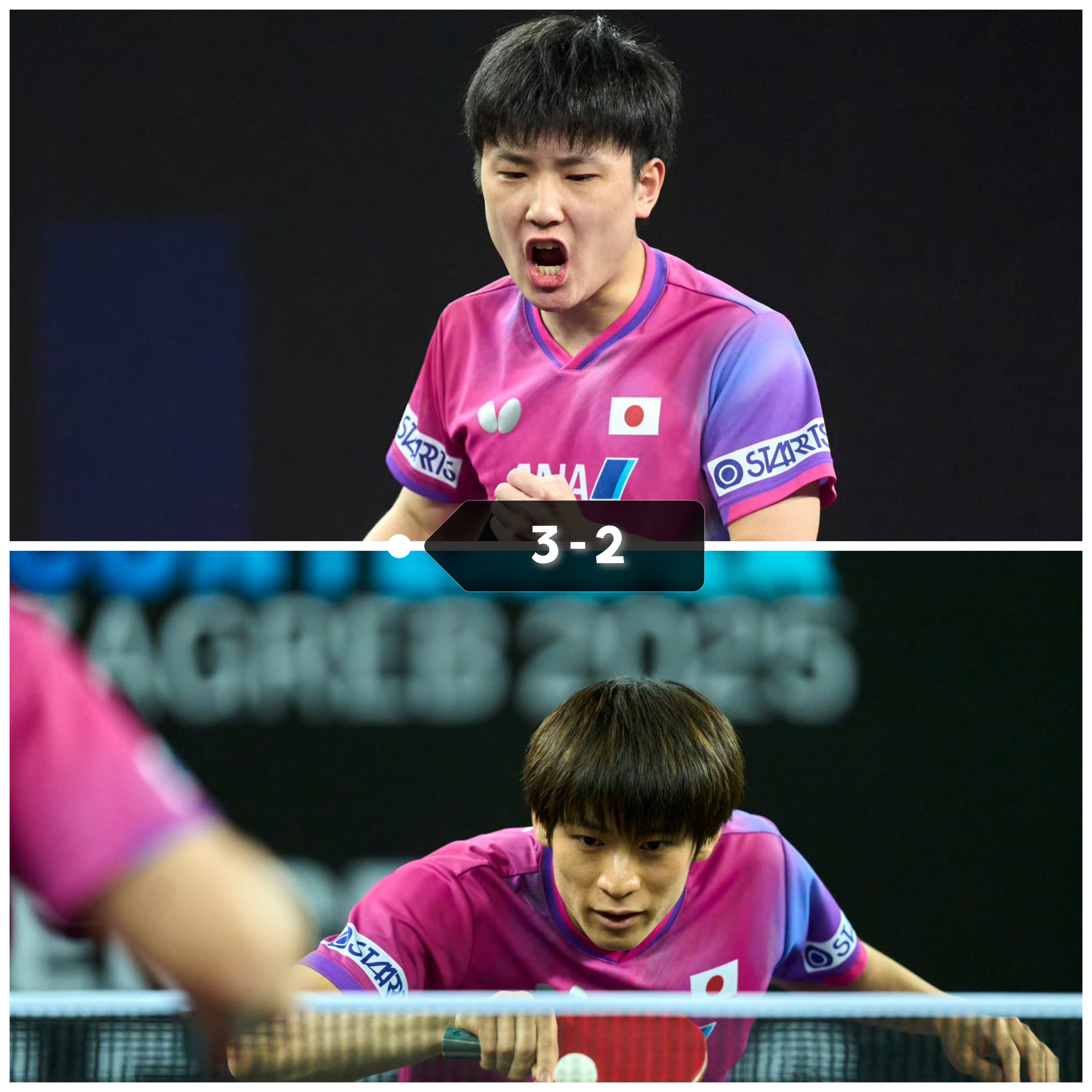 关于德国队轻取日本队，张本智和扛起全队的信息